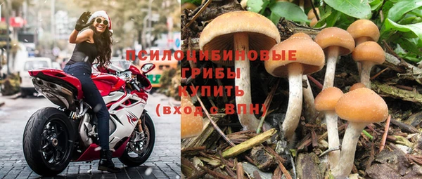 МДПВ Абаза